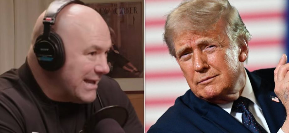 the-traitor-ally-dana-white’s-reason-why-the-president-can’t-be-racist-is-totally-bonkers