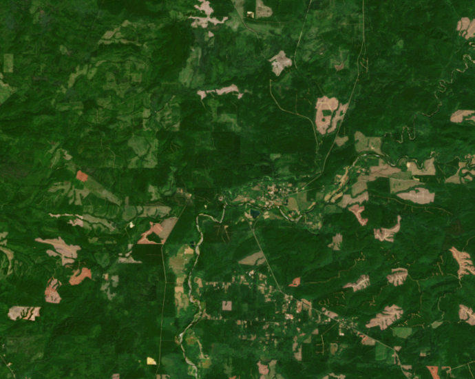 three-ways-that-a-new-land-monitoring-system-is-transforming-how-we-manage-forests
