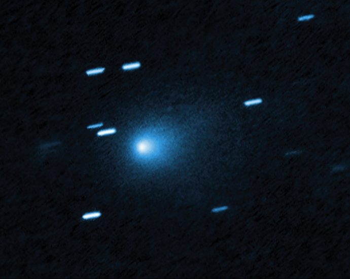 helio-highlight:-december-2025