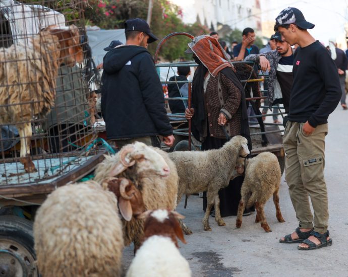 ‘no-livestock-but-still-hope’:-palestinians-prepare-for-eid-al-adha-in-gaza