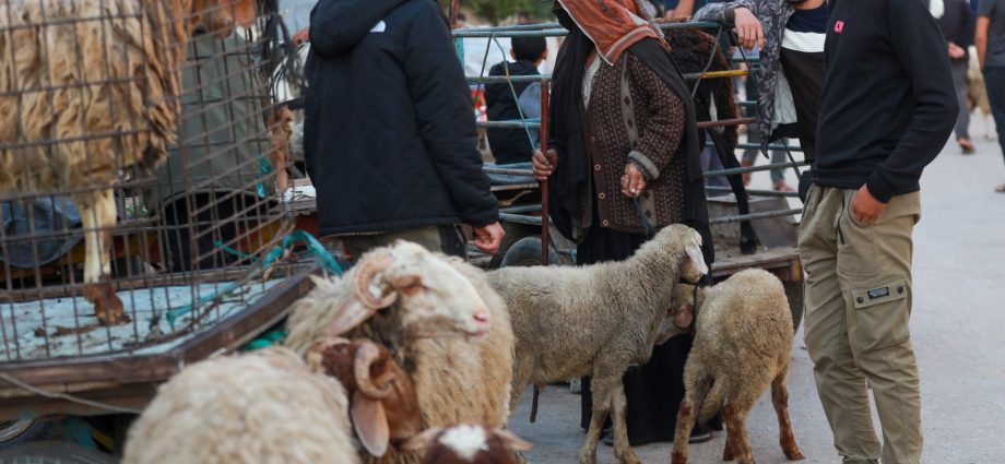 ‘no-livestock-but-still-hope’:-palestinians-prepare-for-eid-al-adha-in-gaza