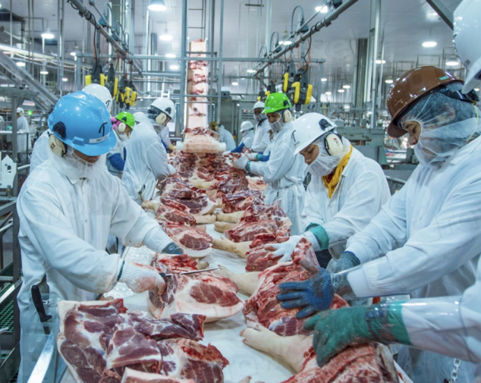 industry-linked-studies-disproportionately-advocate-meat-consumption