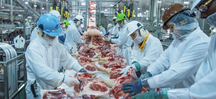 industry-linked-studies-disproportionately-advocate-meat-consumption