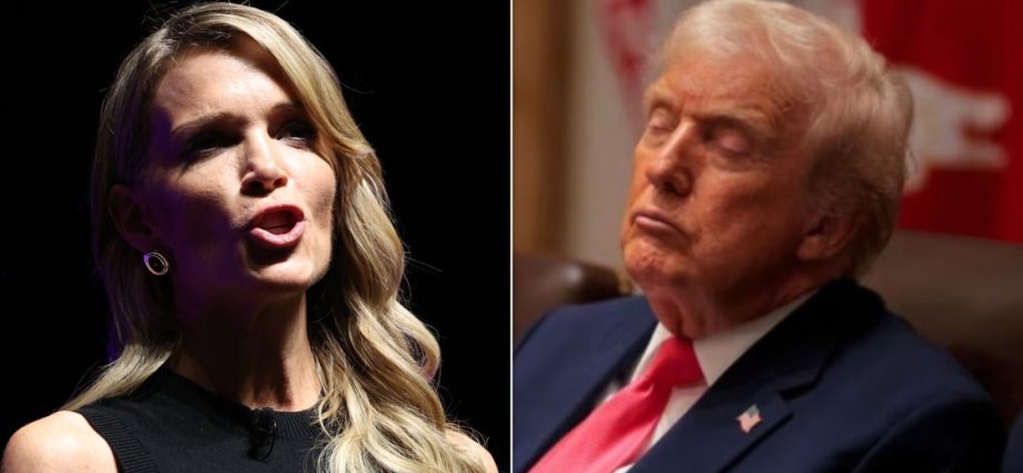megyn-kelly-floats-theory-about-why-the-traitor-is-‘occasionally-nodding-off’