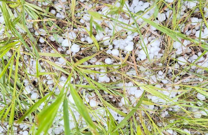 grapefruit-sized-hail-may-become-more-common-in-a-warmer-world