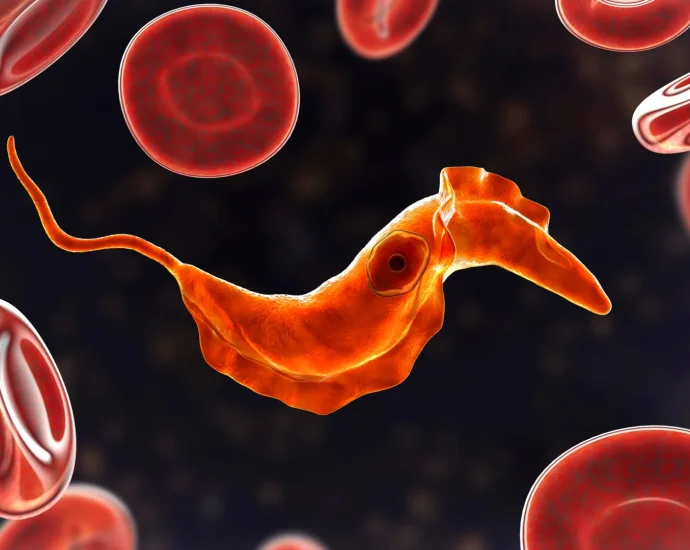 scientists-discover-ancient-single-celled-ancestors-still-live-on-in-your-blood