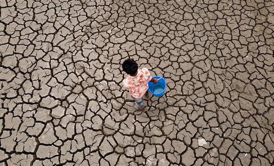 global-temperatures-set-to-stay-near-record-levels:-un-weather-agency