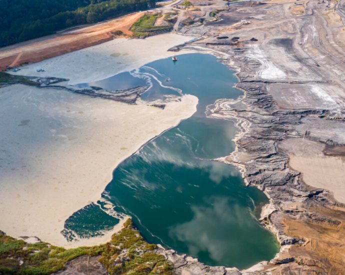 environmentalists-turn-out-in-force-to-oppose-the-traitor-coal-ash-rollbacks