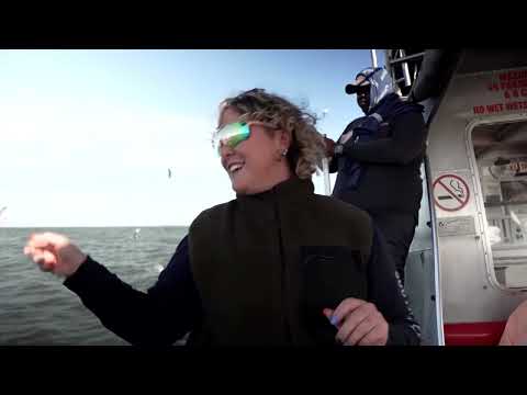 why-great-white-sharks-are-vanishing-from-south-africa’s-cape-coast