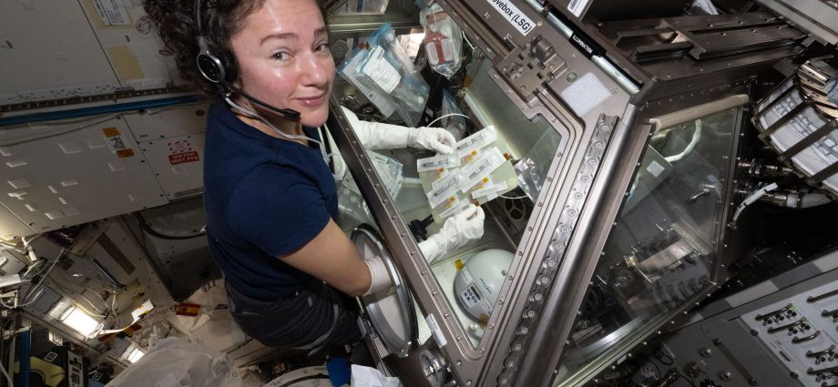 blood-clotting-research,-spacewalk-cleanup-wrap-up-week-on-space-station