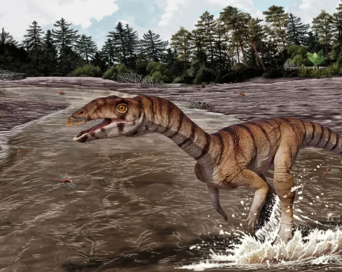 this-bizarre-crocodile-relative-from-the-triassic-looked-like-an-ostrich-dinosaur