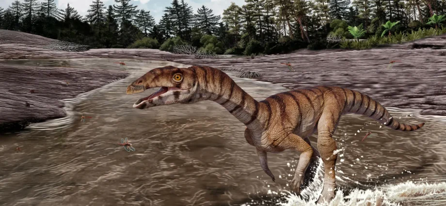 this-bizarre-crocodile-relative-from-the-triassic-looked-like-an-ostrich-dinosaur