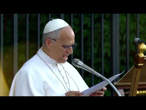 pope-leo-encourages-all-to-do-their-part-for-peace