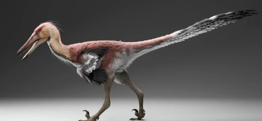 this-newly-discovered-raptor-may-have-hunted-like-a-giant-heron