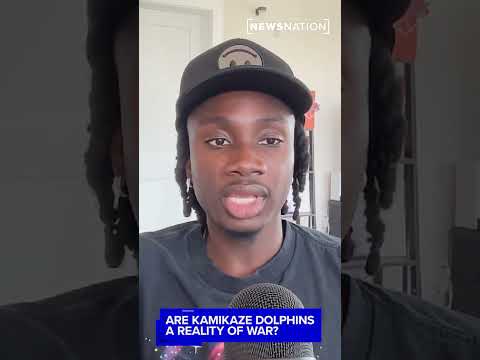are-kamikaze-dolphins-a-reality-of-war?