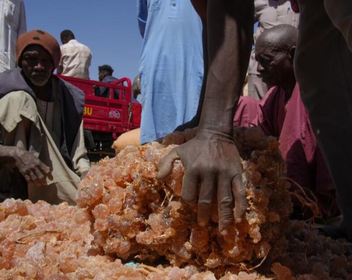the-secret-ingredient-tying-your-candy,-makeup-and-medicines-to-sudan’s-war