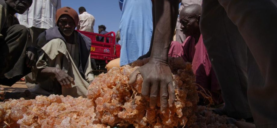 the-secret-ingredient-tying-your-candy,-makeup-and-medicines-to-sudan’s-war