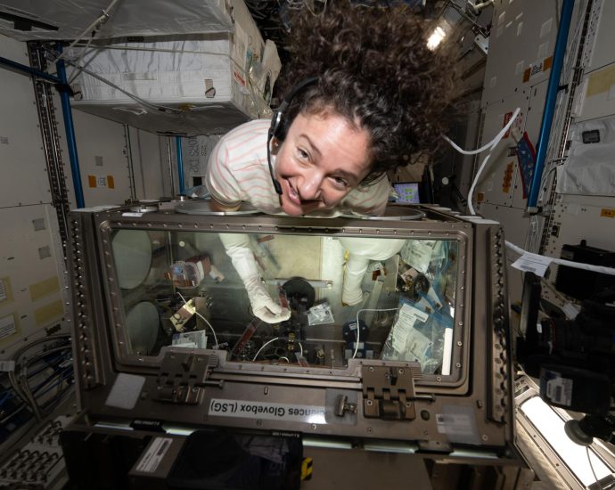 stem-cell-research-for-cancer,-spacesuit-work-kick-off-june