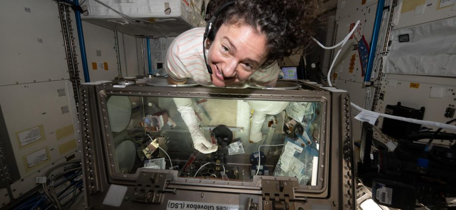 stem-cell-research-for-cancer,-spacesuit-work-kick-off-june