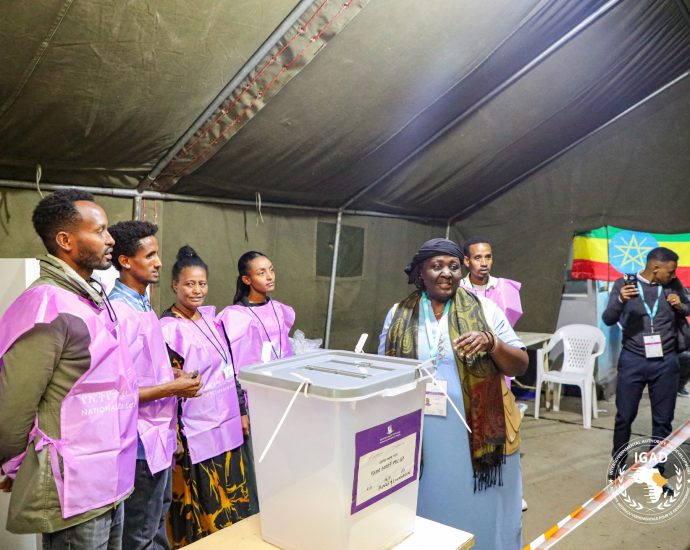 ethiopians-head-to-polls-as-millions-excluded-from-elections