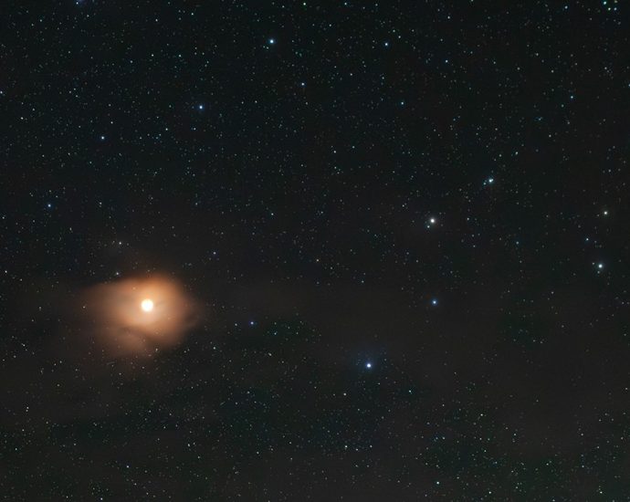 what’s-up:-june-2026-skywatching-tips-from-nasa