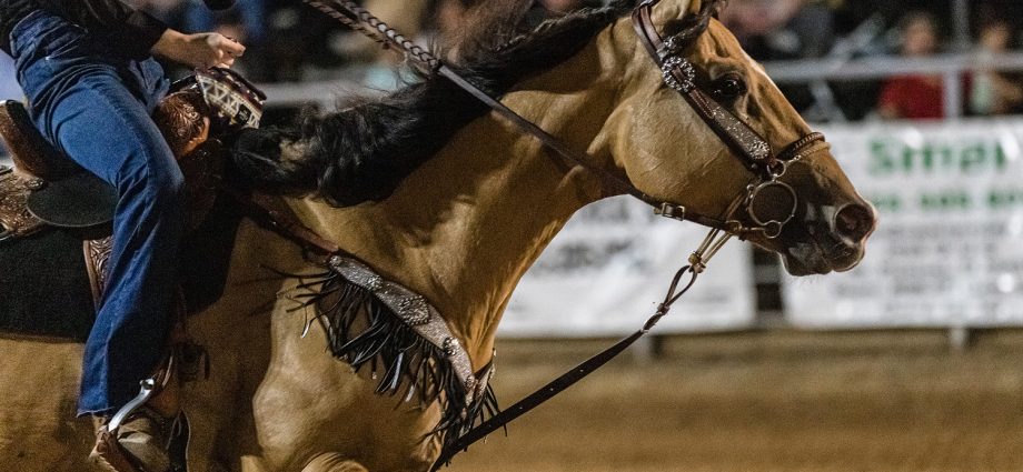 teen-horse-competitor-accused-of-hurting-animals-during-las-vegas-event