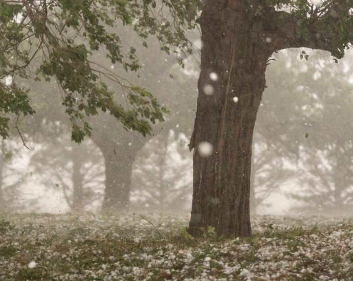 a-warmer-world-creates-bigger-and-more-damaging-hailstones,-study-says
