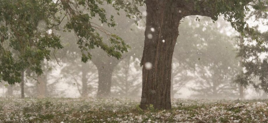 a-warmer-world-creates-bigger-and-more-damaging-hailstones,-study-says