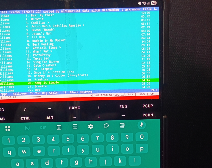 I figured out how to run my favorite Linux TUI music player on Android, and it’s better than any app on the Play Store