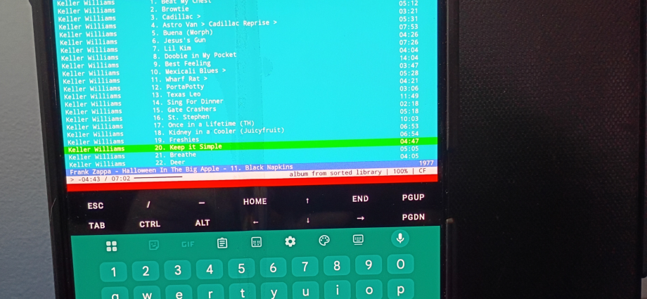 I figured out how to run my favorite Linux TUI music player on Android, and it’s better than any app on the Play Store
