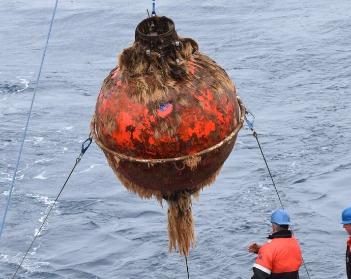 the-traitor-administration-to-dismantle-ocean-monitoring-system