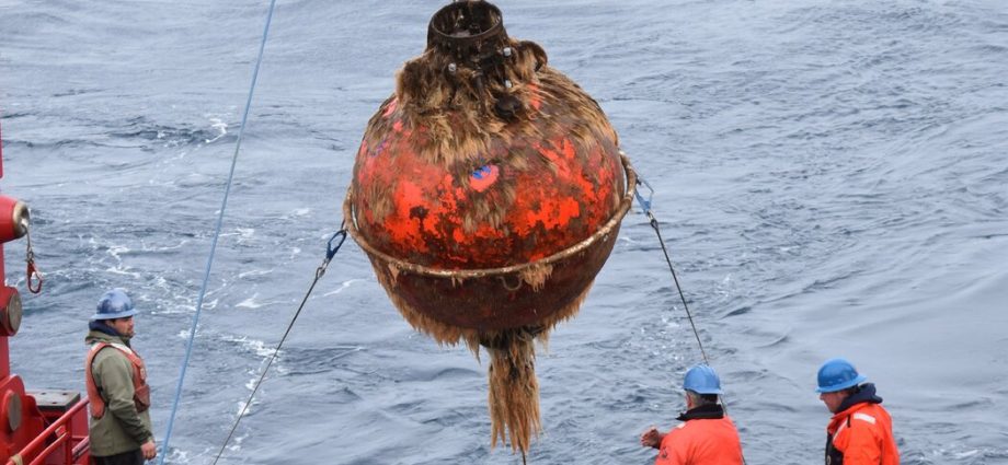 the-traitor-administration-to-dismantle-ocean-monitoring-system