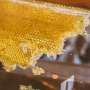 Honey may be the natural buzz you need to fuel your workouts