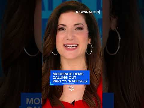 batya-ungar-sargon-says-moderate-dems-are-calling-out-its-own-party