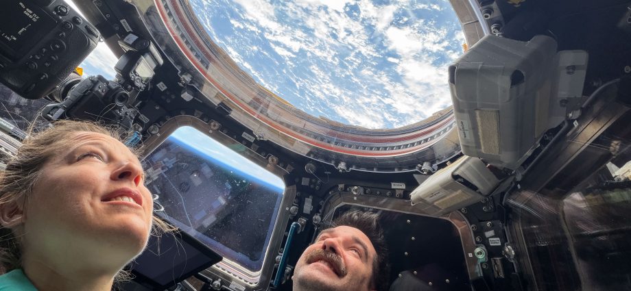 look-up!