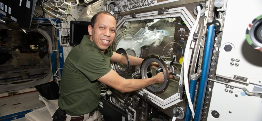 bacteria,-cartilage,-and-metal-tops-tuesday’s-research-aboard-station
