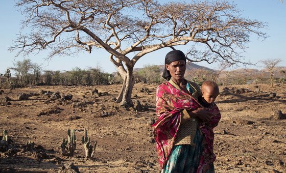 el-nino-confirmed,-set-to-fuel-more-extreme-weather,-says-wmo