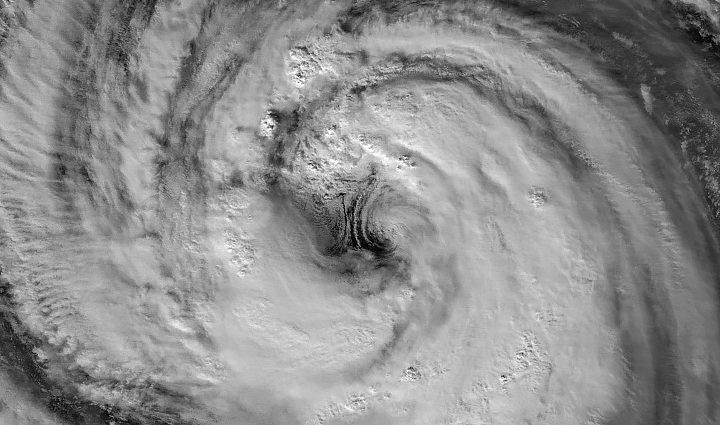 typhoon-jangmi