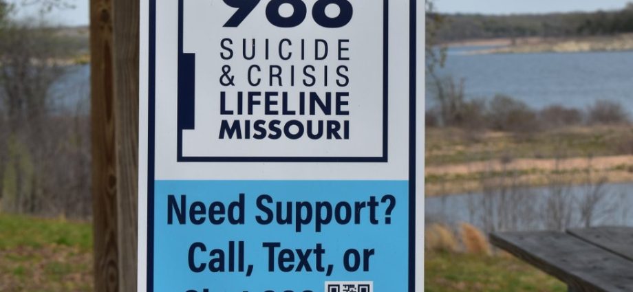 lgbtq+-suicide-hotline-must-be-restored