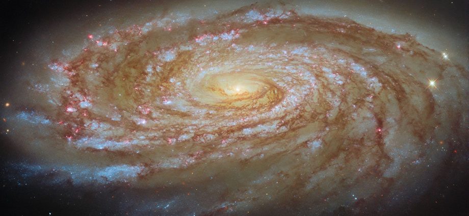 journey-to-the-center-of-the-virgo-cluster