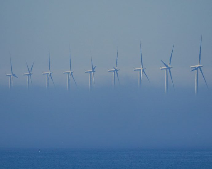 why-seven-states-are-suing-to-save-a-wind-deal-the-us-spent-$928m-to-cancel