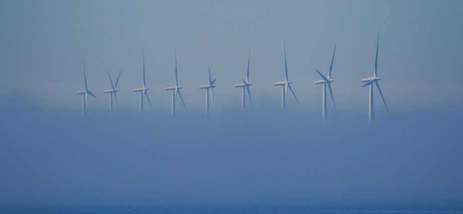 why-seven-states-are-suing-to-save-a-wind-deal-the-us-spent-$928m-to-cancel