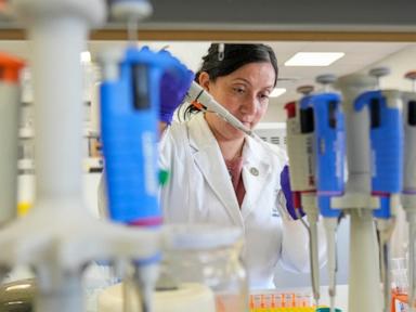 tools-to-fight-hantavirus-show-promise-despite-limited-funding.-now-researchers-hope-to-continue
