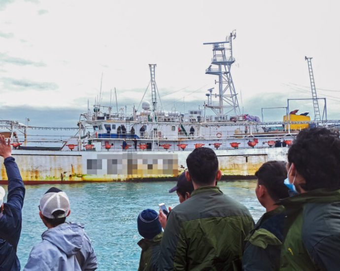 dolphins,-sharks,-turtles-and-workers-are-all-victims-of-unregulated-squid-fleets