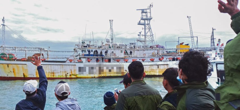 dolphins,-sharks,-turtles-and-workers-are-all-victims-of-unregulated-squid-fleets