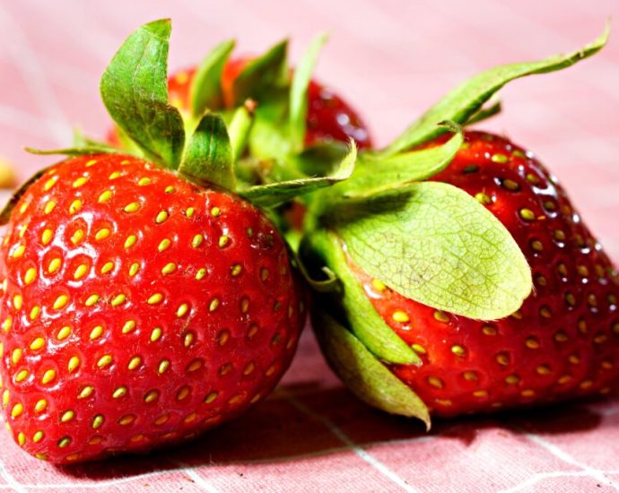 ukrainian-strawberry-prices-drop-21%—but-carrots-and-potatoes-climb