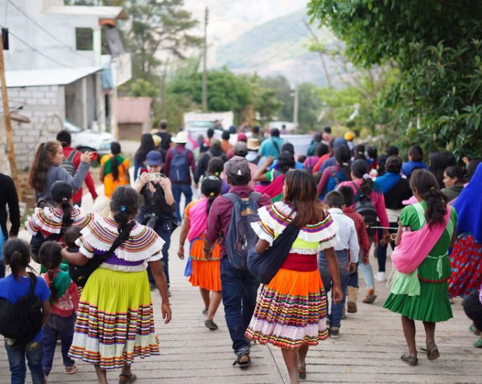 the-narco-erasure-of-indigenous-mexican-life