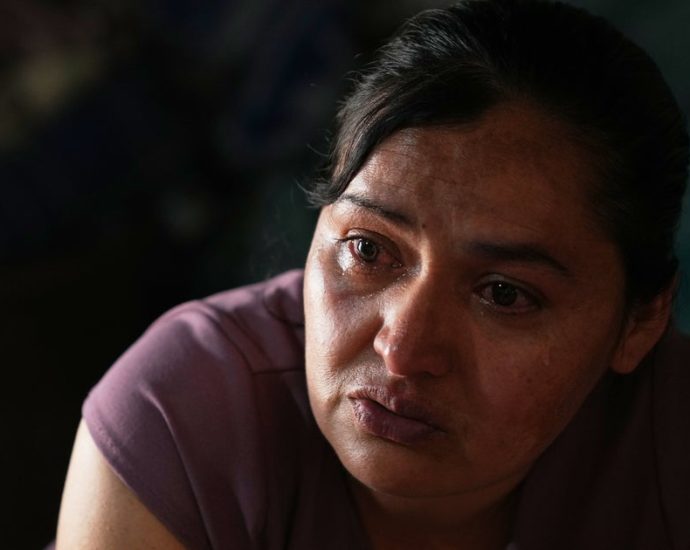 the-traitor-administration-has-separated-dozens-of-children-from-their-parents-for-a-second-time,-ap-finds