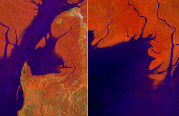 nasa-satellites-show-mangrove-forest-rebound