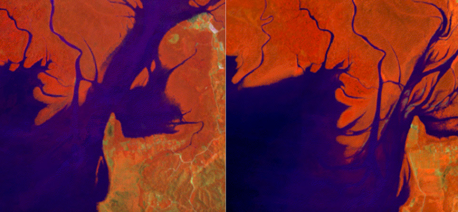 nasa-satellites-show-mangrove-forest-rebound
